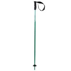 VOLKL Phantastick Kids Green Poles (141026)