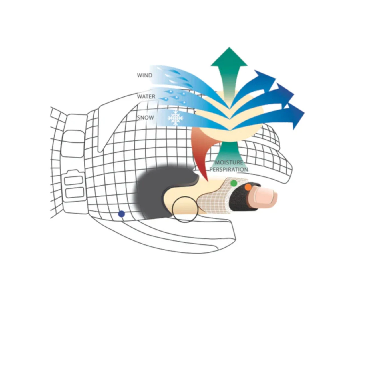 SWANY Women's X-Cell Gloves - Image 4